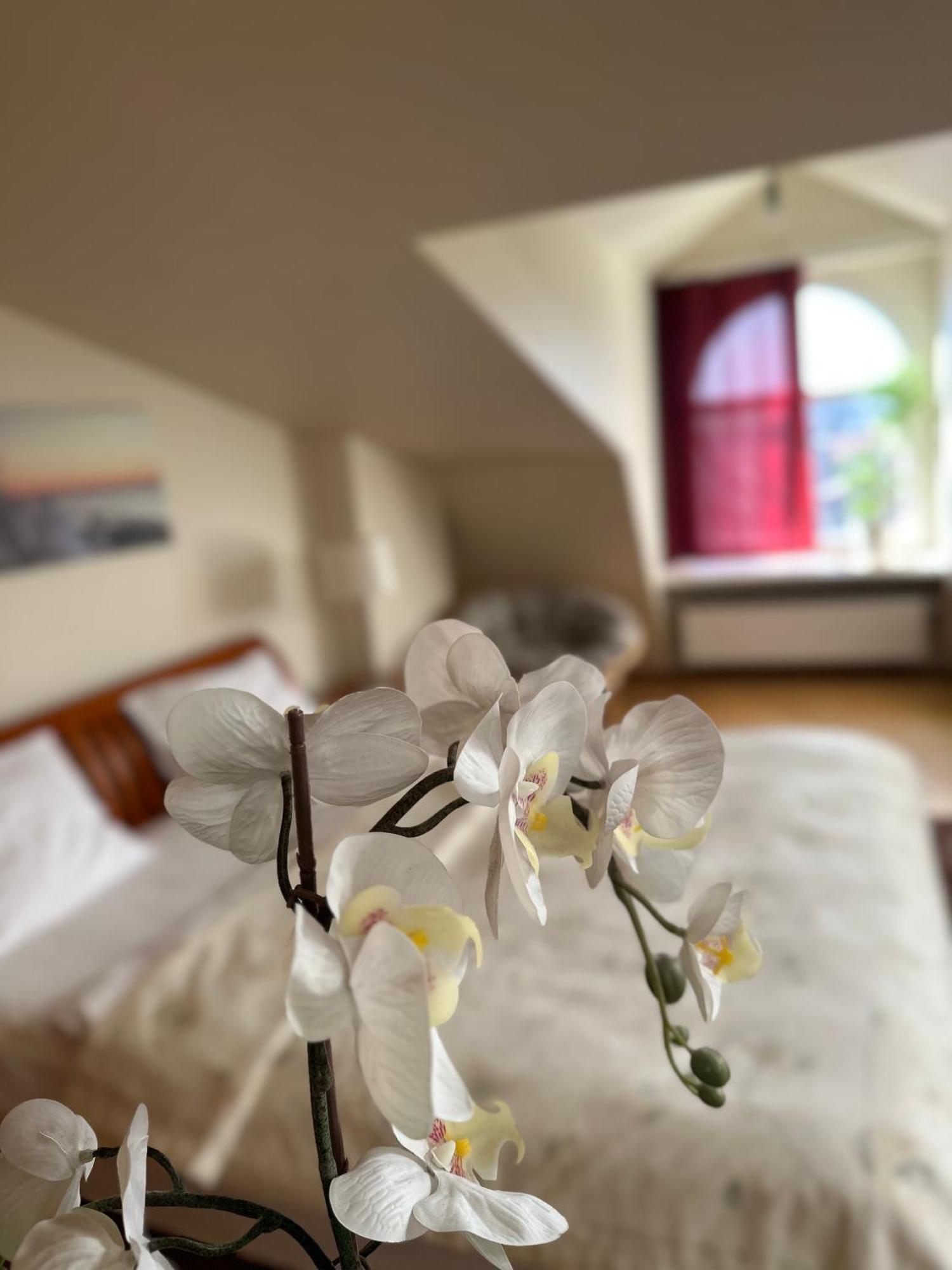 Old Town Apartment With Sauna リガ エクステリア 写真